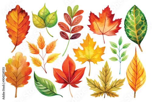 Watercolor Illustration of Assorted Autumn Leaves