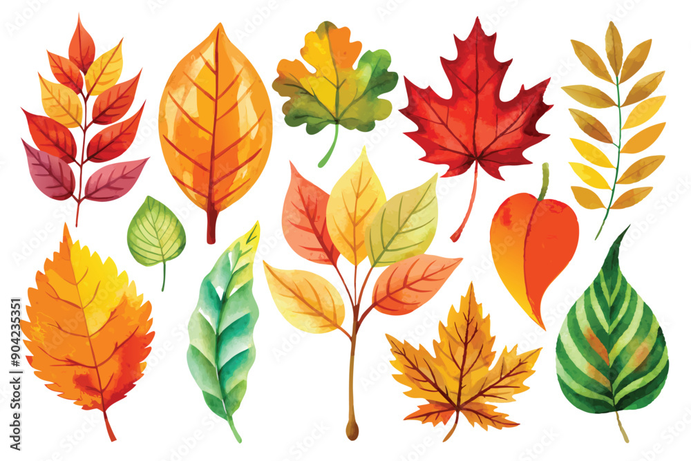 Watercolor Collection of Autumn Leaves in Various Shapes and Colors Watercolor Collection of Autumn Leaves in Various Shapes and Colors