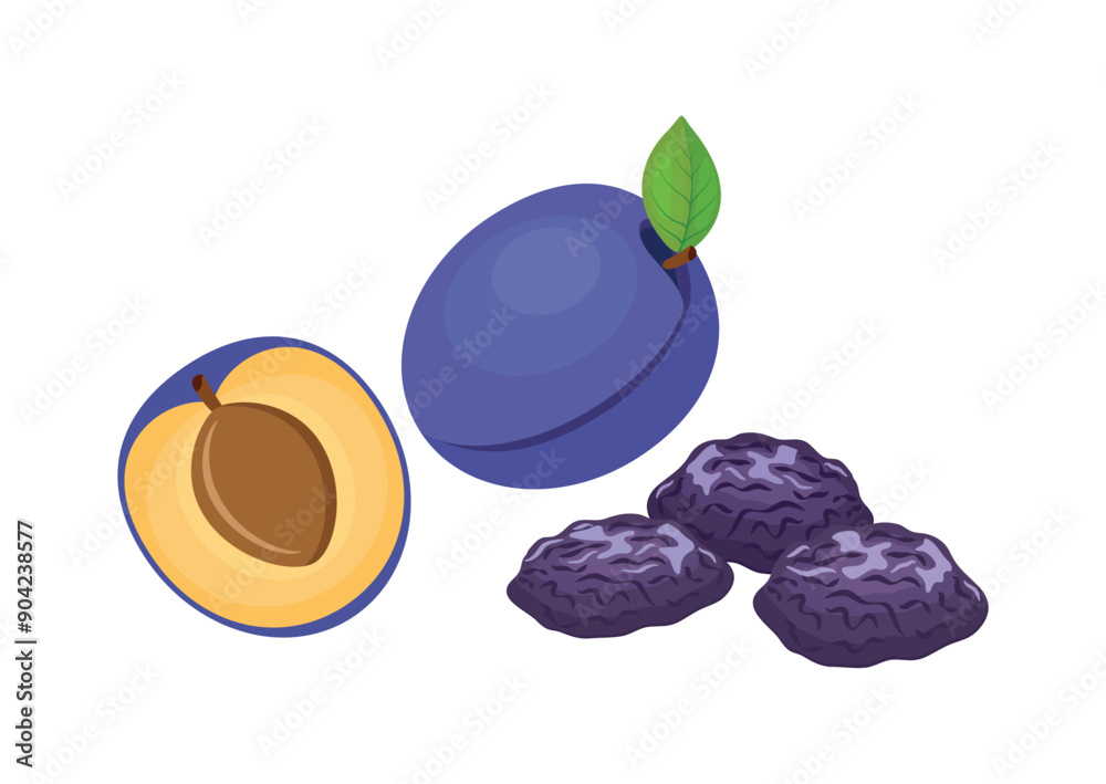 Fresh and dried plums icon set vector. Prune plum icon set vector isolated on white background. Whole and half plum vector illustration