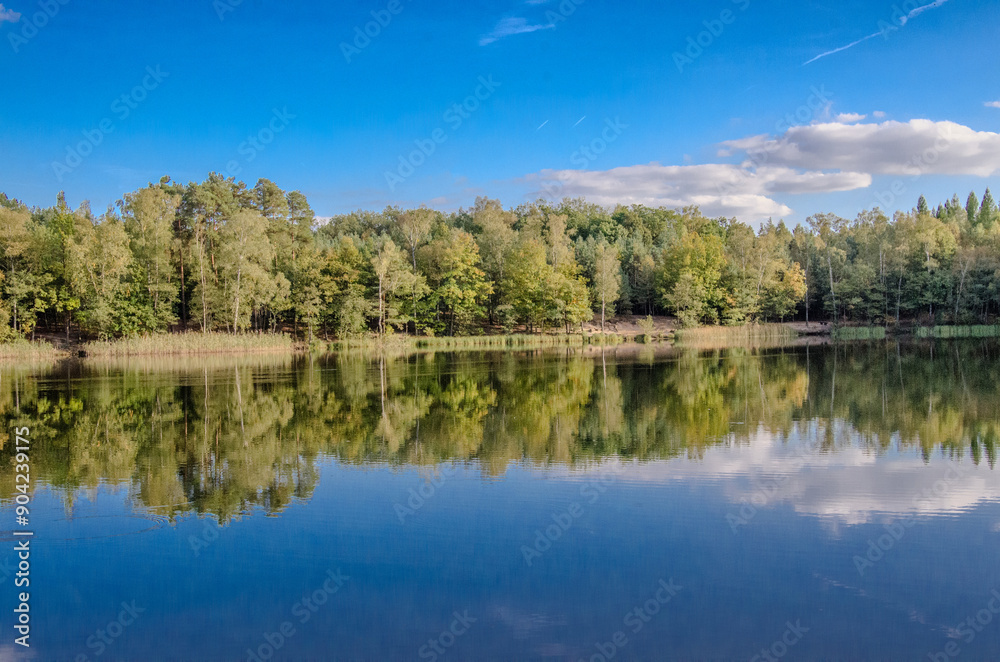Fototapeta premium Seenlandschaft am Lienewitzsee