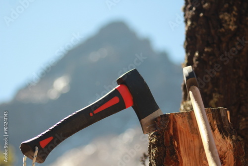 axe on log photo