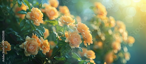 A close up outdoor shot with a bush adorned by beautiful yellow roses provides a perfect copy space image