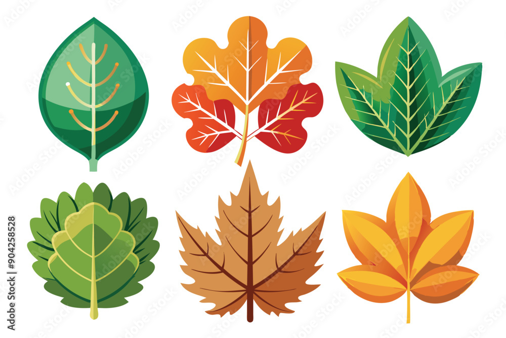 Six Colorful Autumn Leaves on White Background Six Colorful Autumn Leaves on White Background