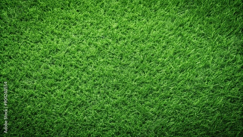Fototapeta Naklejka Na Ścianę i Meble -  Green grass texture background, lush, vibrant, natural, organic, outdoor, summer, meadow, field, fresh, eco-friendly