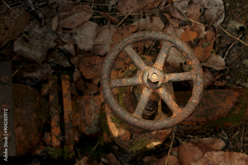 old rusty gear