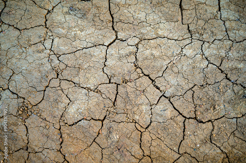 dry,parched earth in the field