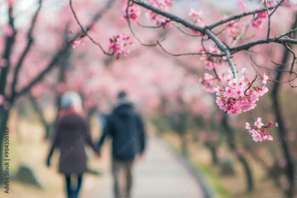 Blossoming Cherry Trees and Couple Walking in Park During Spring Blossoming Cherry Trees and Couple Walking in Park During Spring