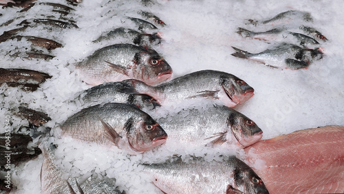 River trout fresh fish on ice in a food market