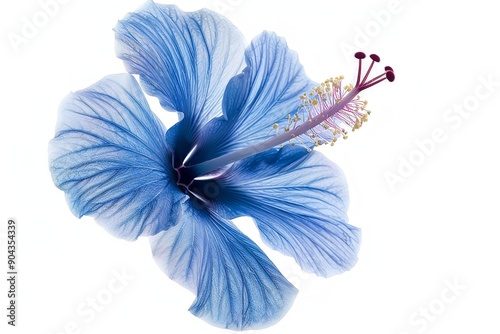 On a white background, a solitary blue hibiscus. Generative Ai