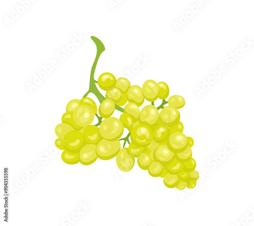 Bunch of green grape isolated on white background. Vector cartoon flat illustration.
