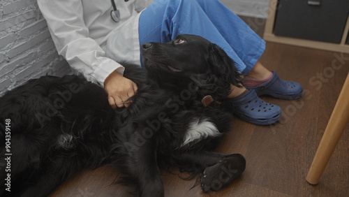 A woman veterinarian comforts a labrador dog lying on the floor in a veterinary clinic, showing compassion and care in an indoor setting. photo