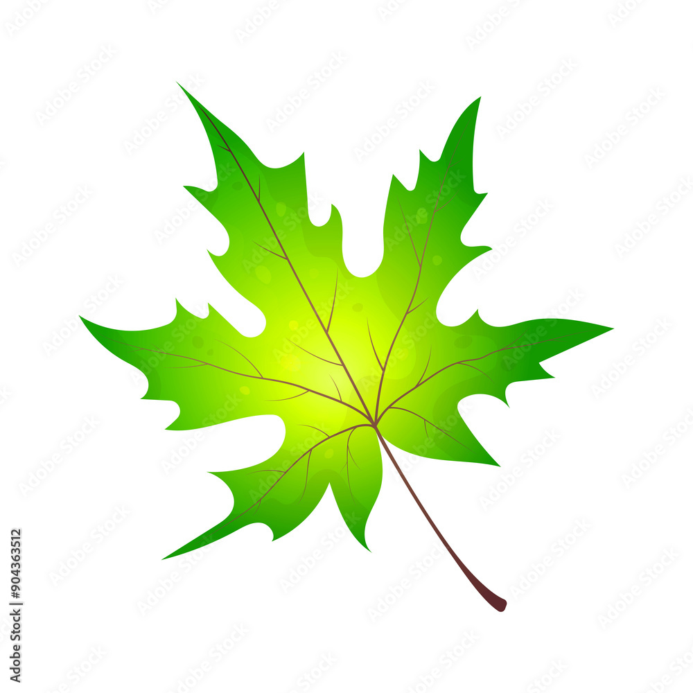 Realistic vector illustration of autumn leaf on transparent background. Wedge leaf for designs, postcards, icons, banners, backgrounds, packaging, wallpapers, paper. Realistic vector illustration of autumn leaf on transparent background. Wedge leaf for designs, postcards, icons, banners, backgrounds, packaging, wallpapers, paper.
