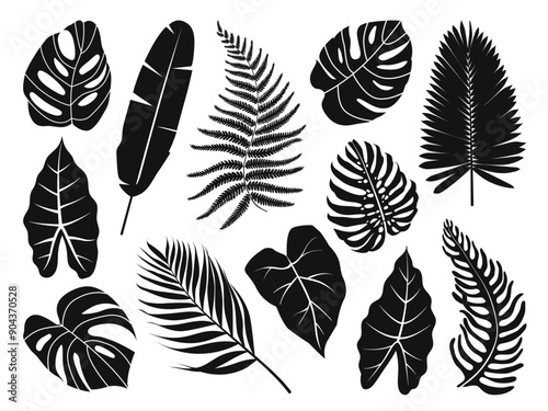 Tropical leaves silhouette set. Jungle plants. Monstera, palm, fern, and banana tree leaf collection. Exotic hand drawn foliage. Vector illustration isolated on white. © Berentina