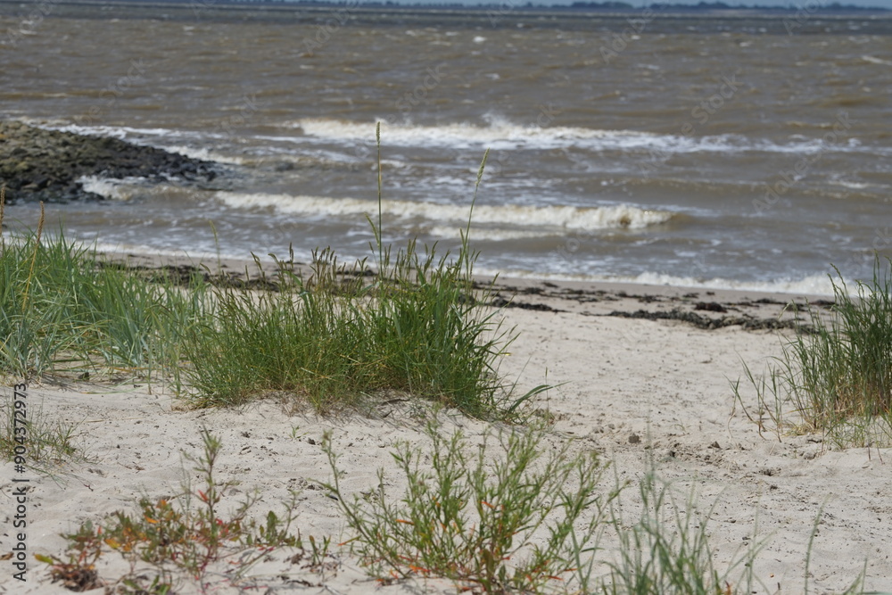 Fototapeta premium Nordsee mit Strand , windig