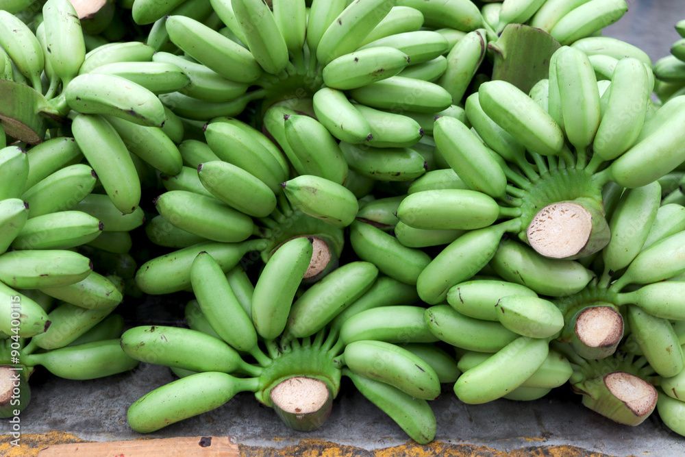 A lots of green lady finger bananas on floor after the harvest. Fresh sweet bananas from agriculture farm are taken to the market for sale. A lots of green lady finger bananas on floor after the harvest. Fresh sweet bananas from agriculture farm are taken to the market for sale.