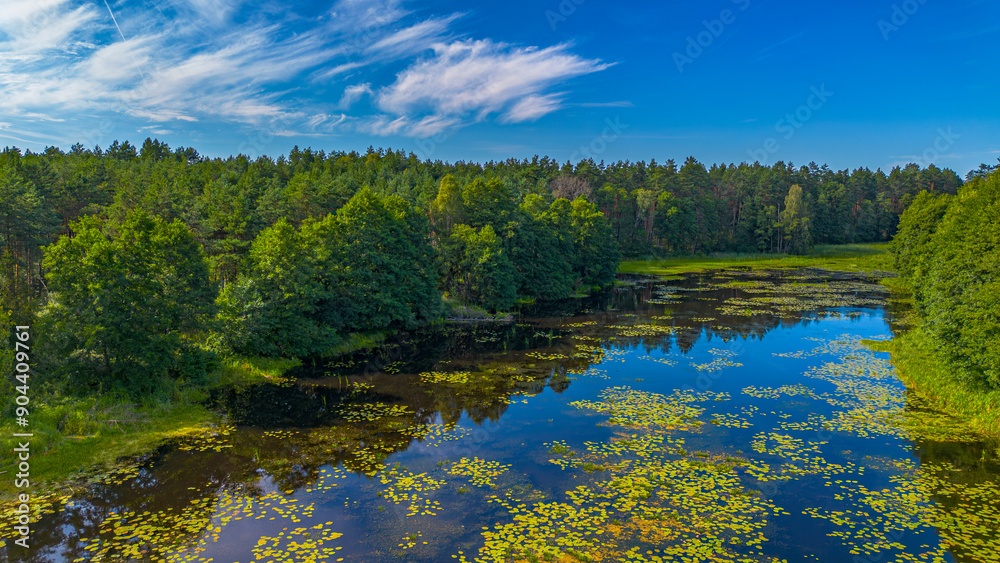 View of the floodwaters of the Mątawa River in Biały Błota, Poland