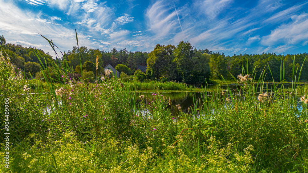 View of the floodwaters of the Mątawa River in Biały Błota, Poland
