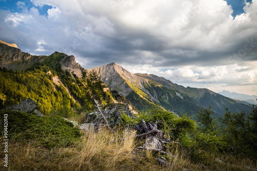 mountain landscape at evening with tree root at first plan