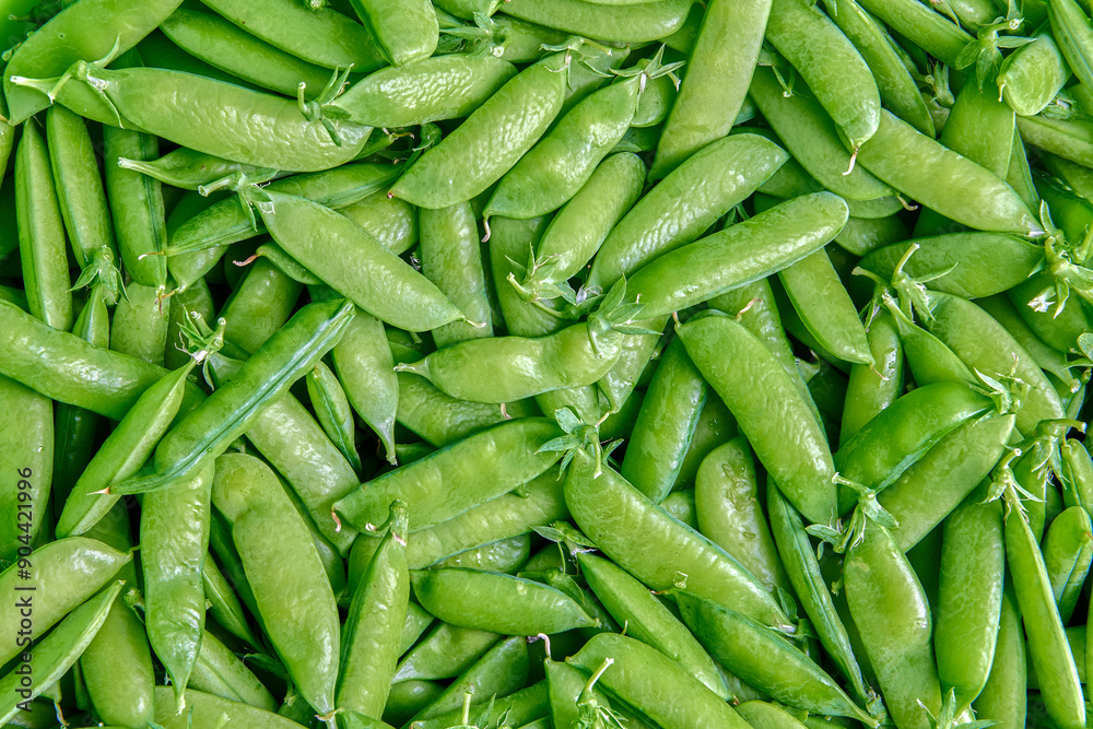 Garden peas are also sometimes called sweet peas or English peas, plant texture for background or backdrop. Garden peas are also sometimes called sweet peas or English peas, plant texture for background or backdrop.