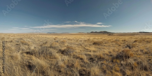 A tranquil scene of a vast, arid prairie with sparse vegetation and clear skies.