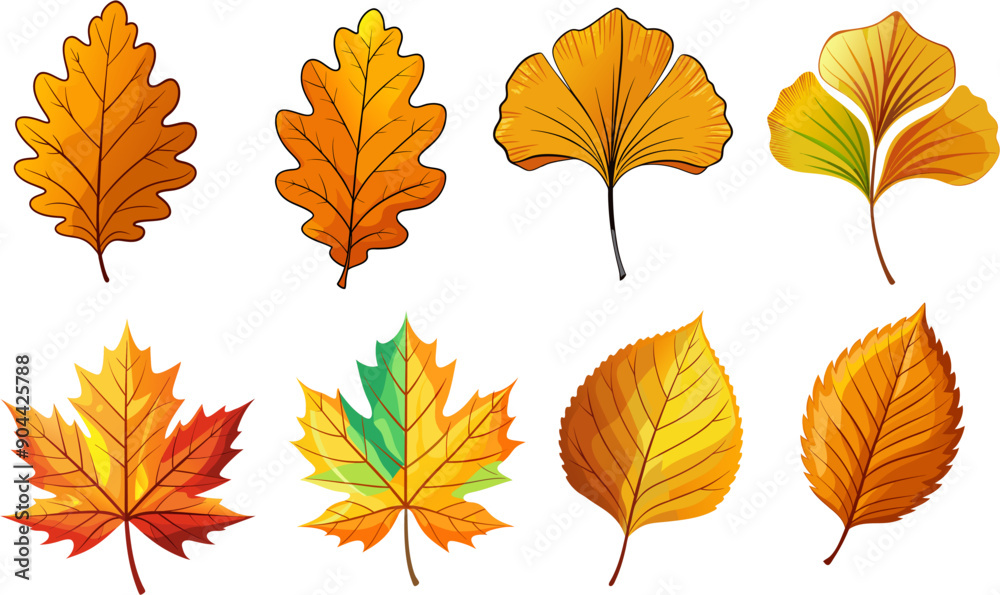 Fototapeta premium Autumn yellow dry leaves ESP vector clipart