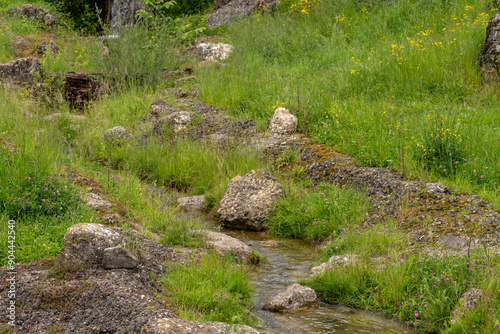 alpine meadow with creek in summer