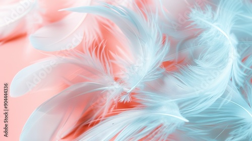  Close-up of white feathers against a red and pink backdrop with a fuzzy depiction of a bird's wing