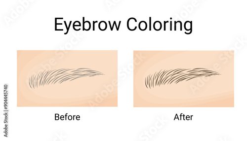 Eyebrow Coloring Transformation. Before and After