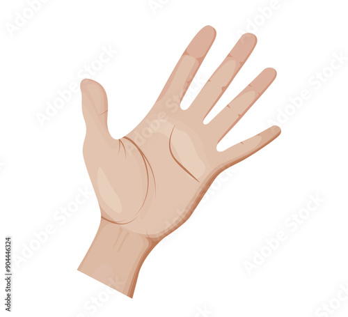 Human Hand Vector Illustration on white background.
