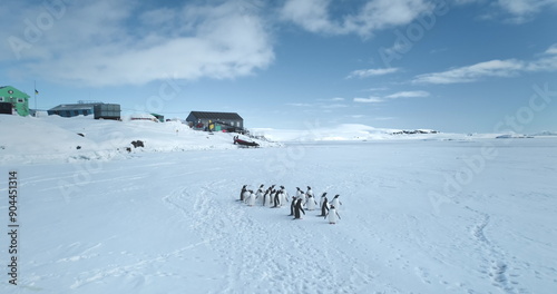Group of Gentoo penguins standing near polar station in Antarctica. Wild sea birds on snow covered hill, research buildings base in background. Antarctic wildlife exploration. South Pole nature beauty