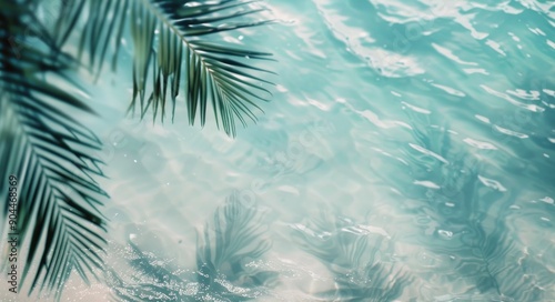 Tropical Palm Leaves Over Crystal Clear Water at Midday