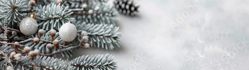 Snowy Pine Cones and Evergreen Branches on a White Background