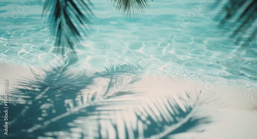Tropical Palm Leaves Over Crystal Clear Water at Midday