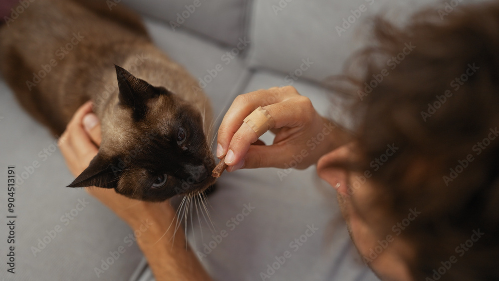 Young hispanic man plays with a siamese cat in a cozy indoor room, showing a bond between pet and owner. Young hispanic man plays with a siamese cat in a cozy indoor room, showing a bond between pet and owner.