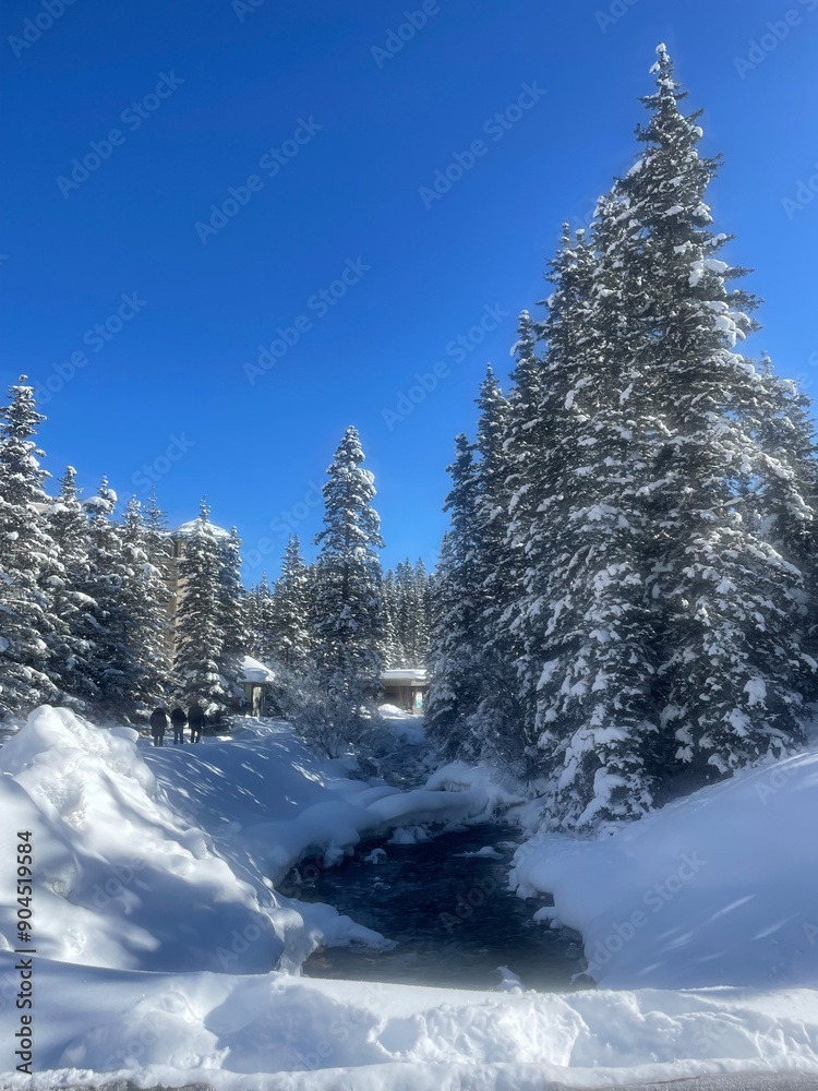 Fototapeta premium Half Frozen