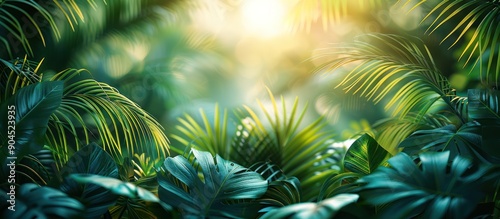 Tropical Rainforest Leaves in Sunlight