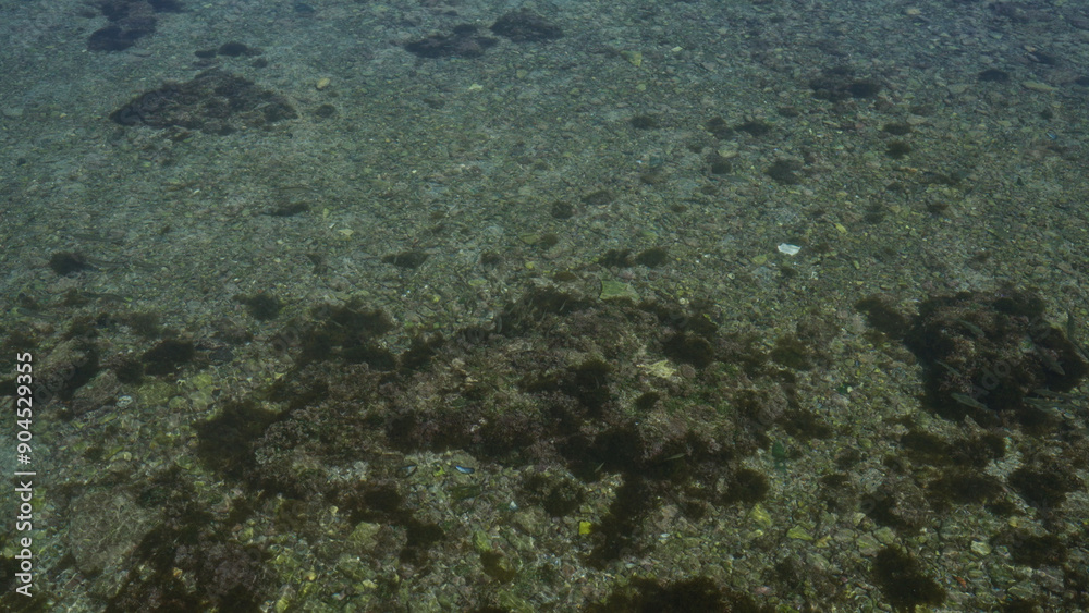 Clear shallow waters with rocky seabed illuminated by sunlight in porto cesareo, italy, showcasing the serene and natural beauty of the salento coastal landscape.