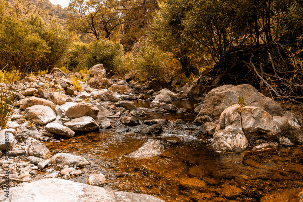 Pequeño río de montaña entre arboles y rocas. Pequeño río de montaña entre arboles y rocas.