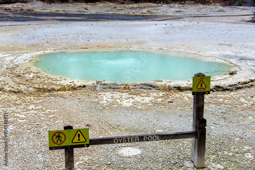 Oyster Pool in Waiotapu Thermal Wonderland - New Zealand photo