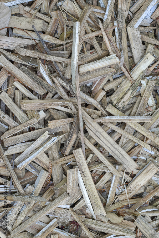 Small irregular bamboo pieces background, wallpaper material Small irregular bamboo pieces background, wallpaper material