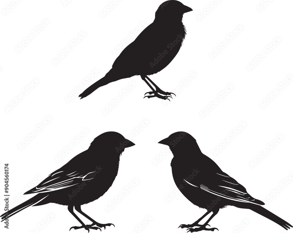 Fototapeta premium Silhouette vector of sparrows, birds vector