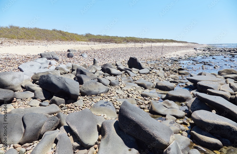Obraz premium Las Labradas, the Mysterious Seaside Petroglyphs of Sinaloa