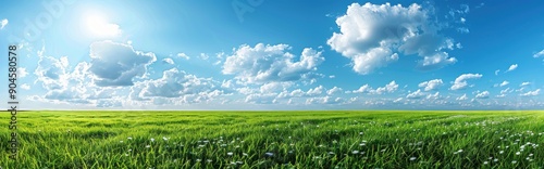 Green Field Under a Blue Sky with Clouds