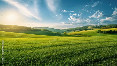 View of a flat green field landscape of very beautiful natural beauty on a sunny day