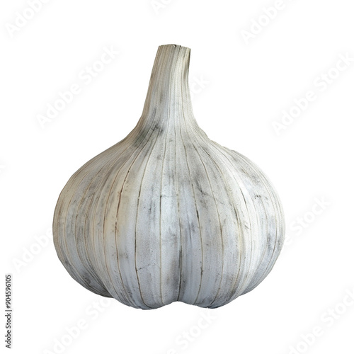 Single White Garlic Bulb with Grey Background