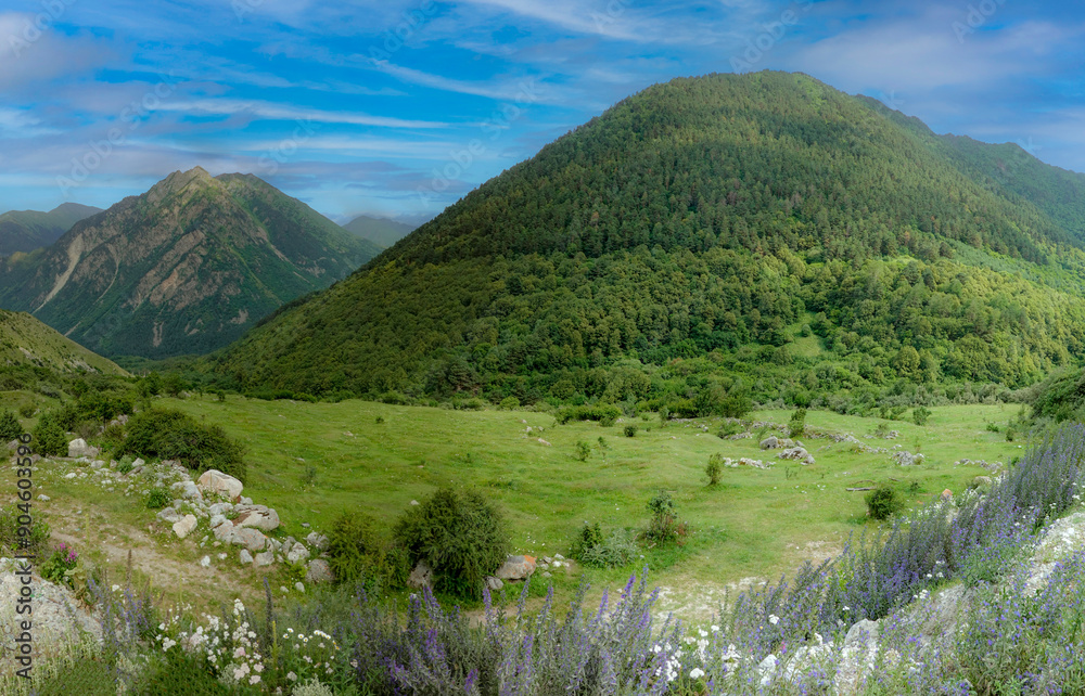 Mountain landscape