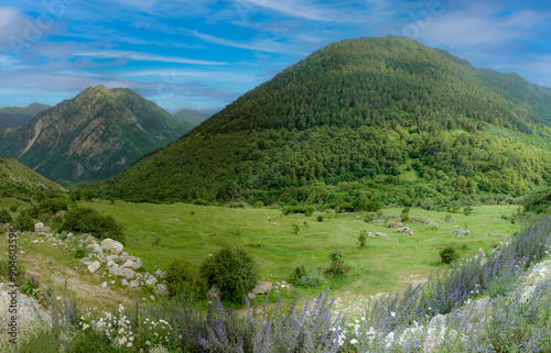 Obraz na płótnie Mountain landscape w salonie