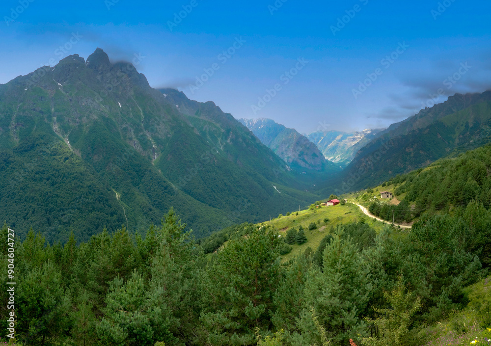 Mountain landscape