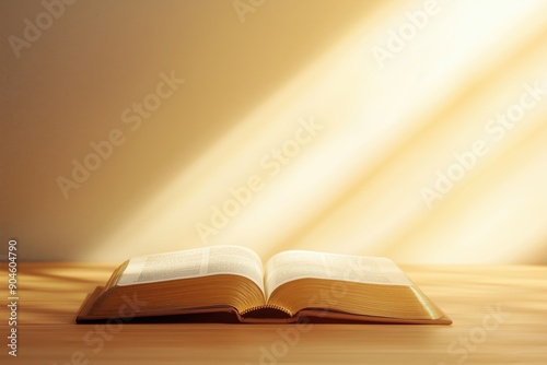 Bright sun light and bible book silhouette of the Holy Jesus Christ guiding the bright path	
