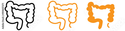 Large Intestine Icon Set Digestive System Illustrations for Health and Anatomy